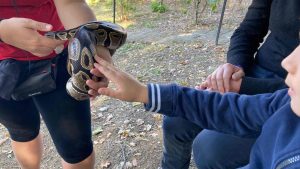 arca dei camaleonti parco faunistico fattoria didattica roma bambini 18