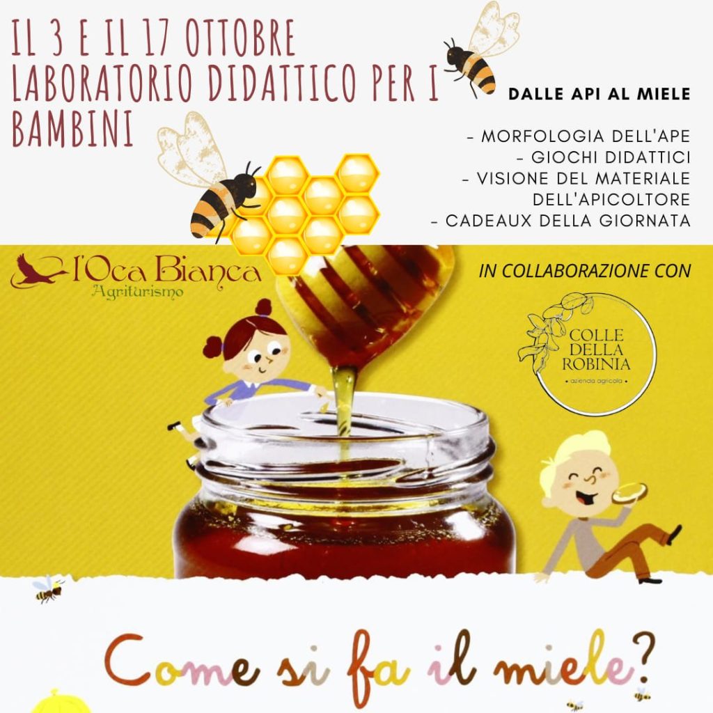 cosa fare nel weekend a roma con i bambini fine settimana fattoria didattica miele