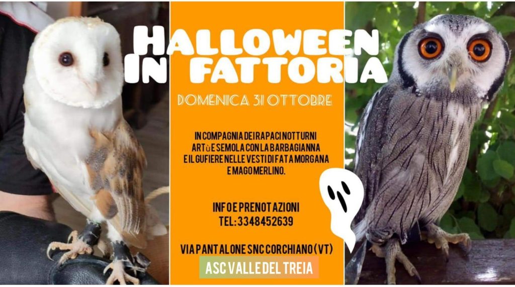eventi di halloween per bambini a roma agriturismo fattoria