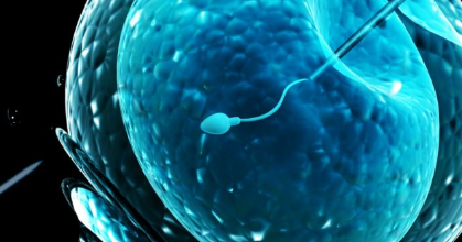 Fecondazione assistita ovulo