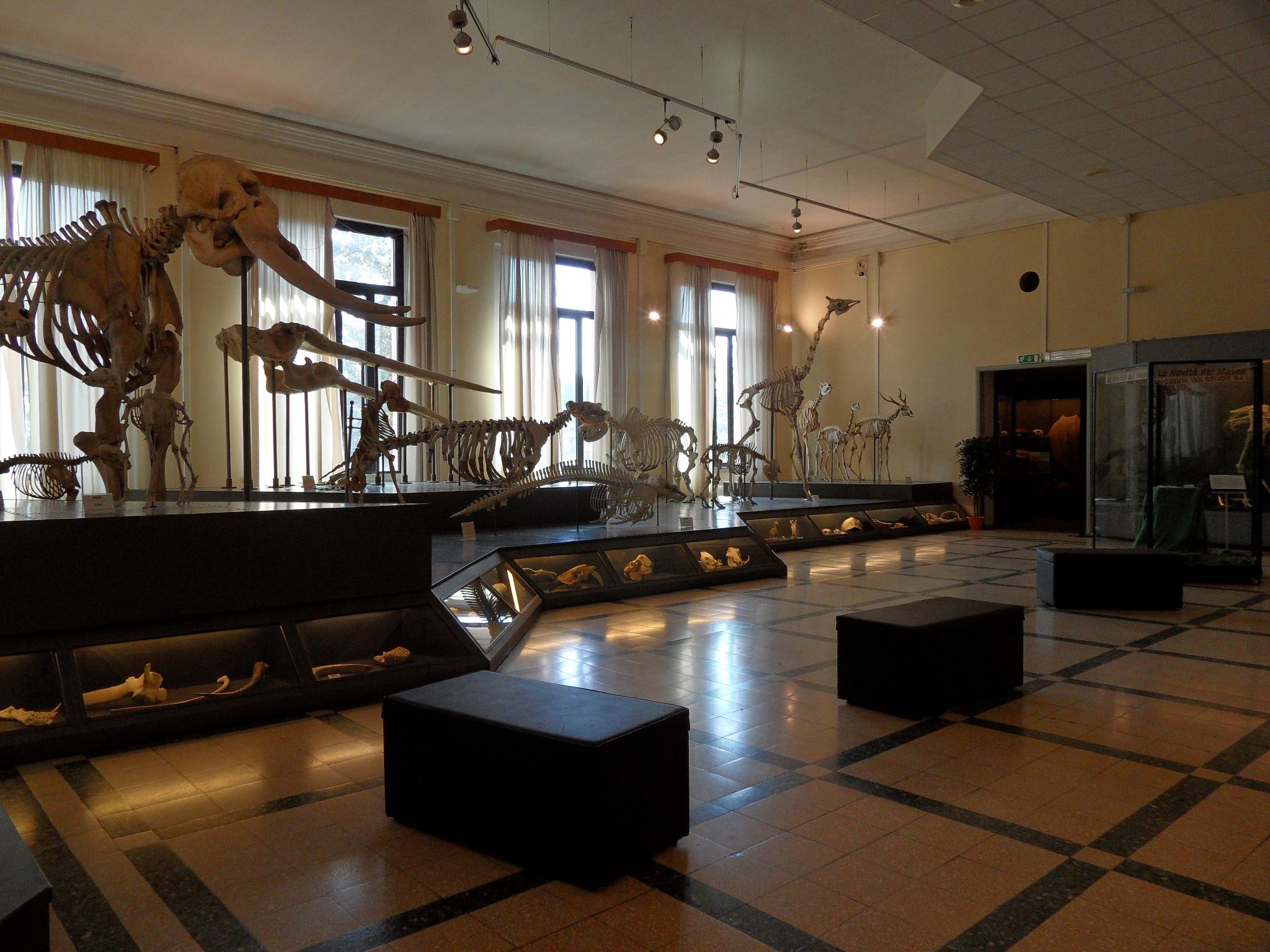 museo zoologia roma