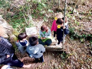 parco cinque sensi vitorchiano bosco bambini roma viterbo 10