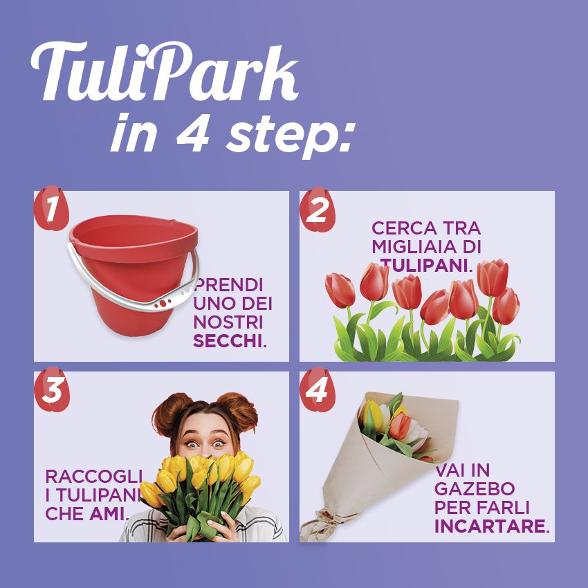tulipark parco tulipani roma riapertura 1