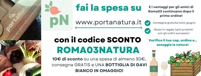 spesa biologica a domicilio roma biodinamica ricetta zucchine