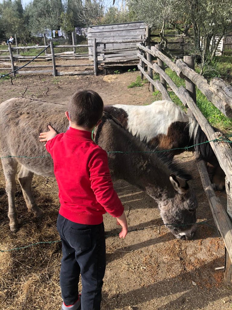 agriturismo per famiglie con bambini viterbo roma il boschetto dei corbezzoli