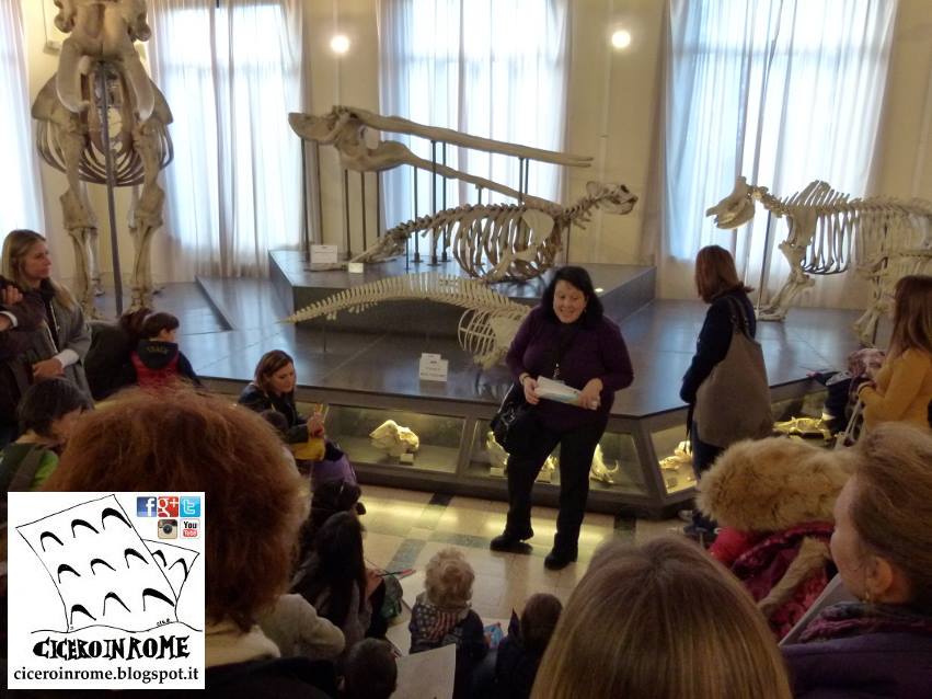 visite guidate per bambini roma museo di zoologia