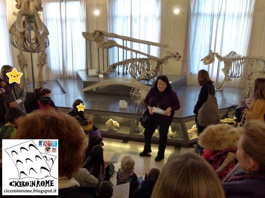 visite guidate per bambini a roma museo di zoologia