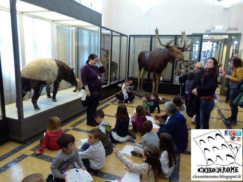 cicero-in-rome-museo-civico-di-zoologia-visite-guidate-bambini