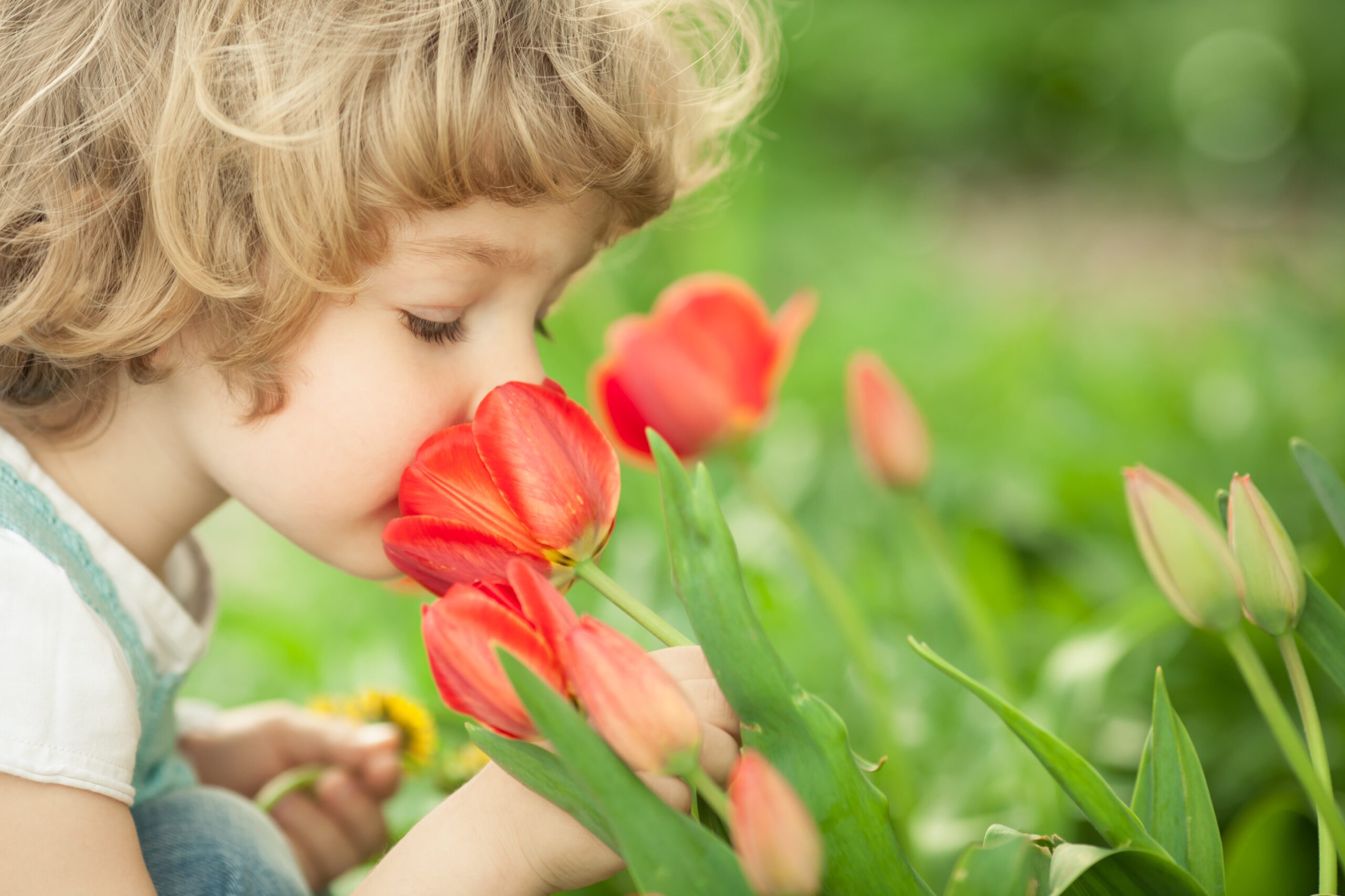 raccolta-tulipani-barbabianca-torrimpietra-roma-bambini-famiglia